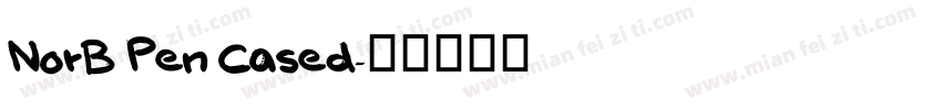 NorB Pen Cased字体转换